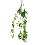 GNW Green Artificial Hanging Willow Leaves Vines MY-33