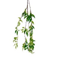 GNW Green Artificial Hanging Willow Leaves Vines MY-33