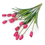 GNW Rose red Artificial Tulips Silk WX-28 - Image 3