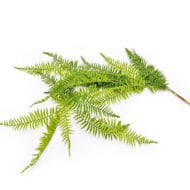 GNW Green Artificial Hanging Fern Garland CT-03 - Image 2