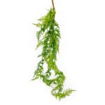 GNW Green Artificial Hanging Fern Garland CT-04
