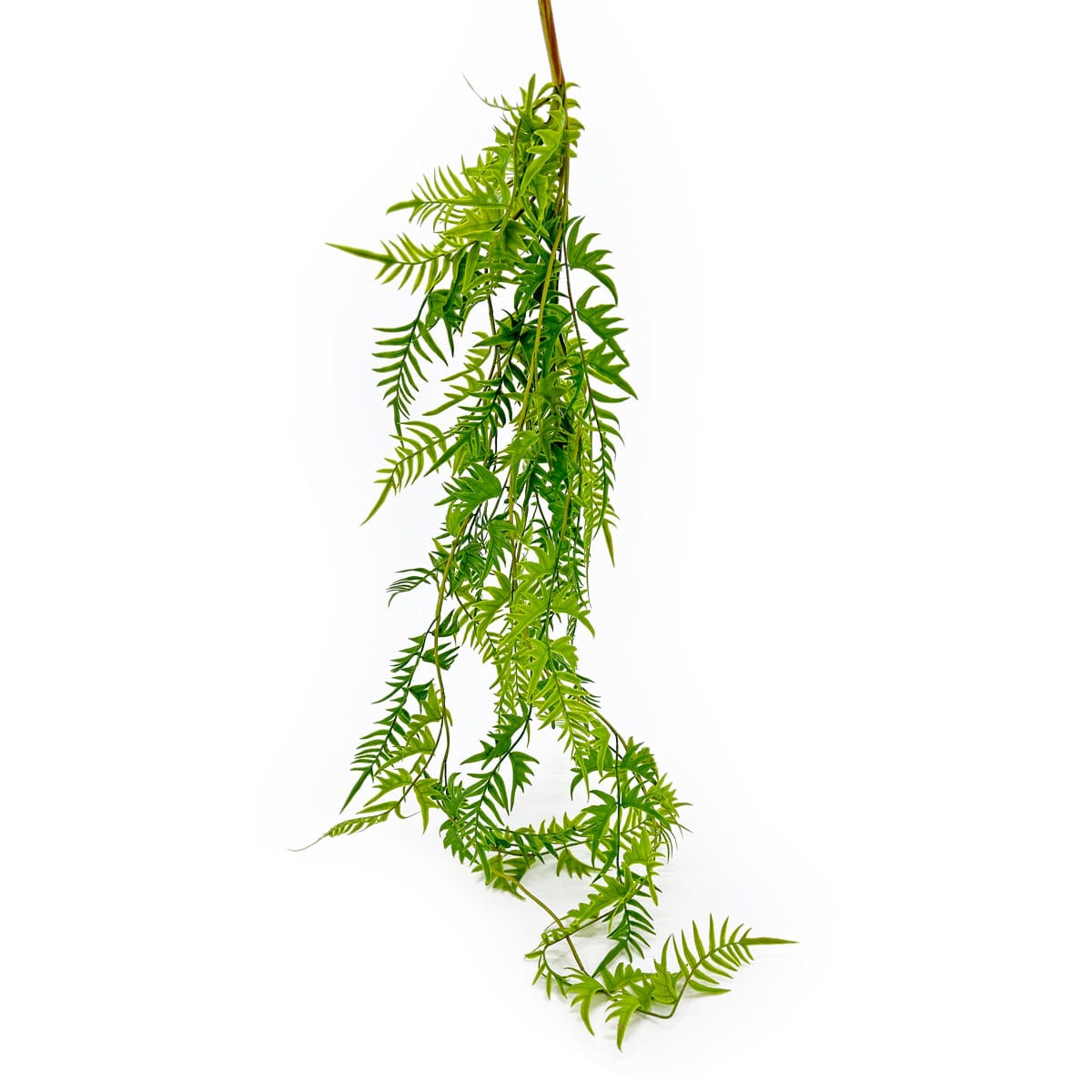 IMG_0214 GNW Green Artificial Hanging Fern Garland CT-04 - Image 1