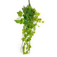 GNW Green Faux Ivy Hanging Plant Bush CT-05