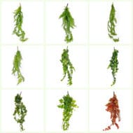 GNW Green Artificial Hanging Fern Garland CT-01 - Image 3