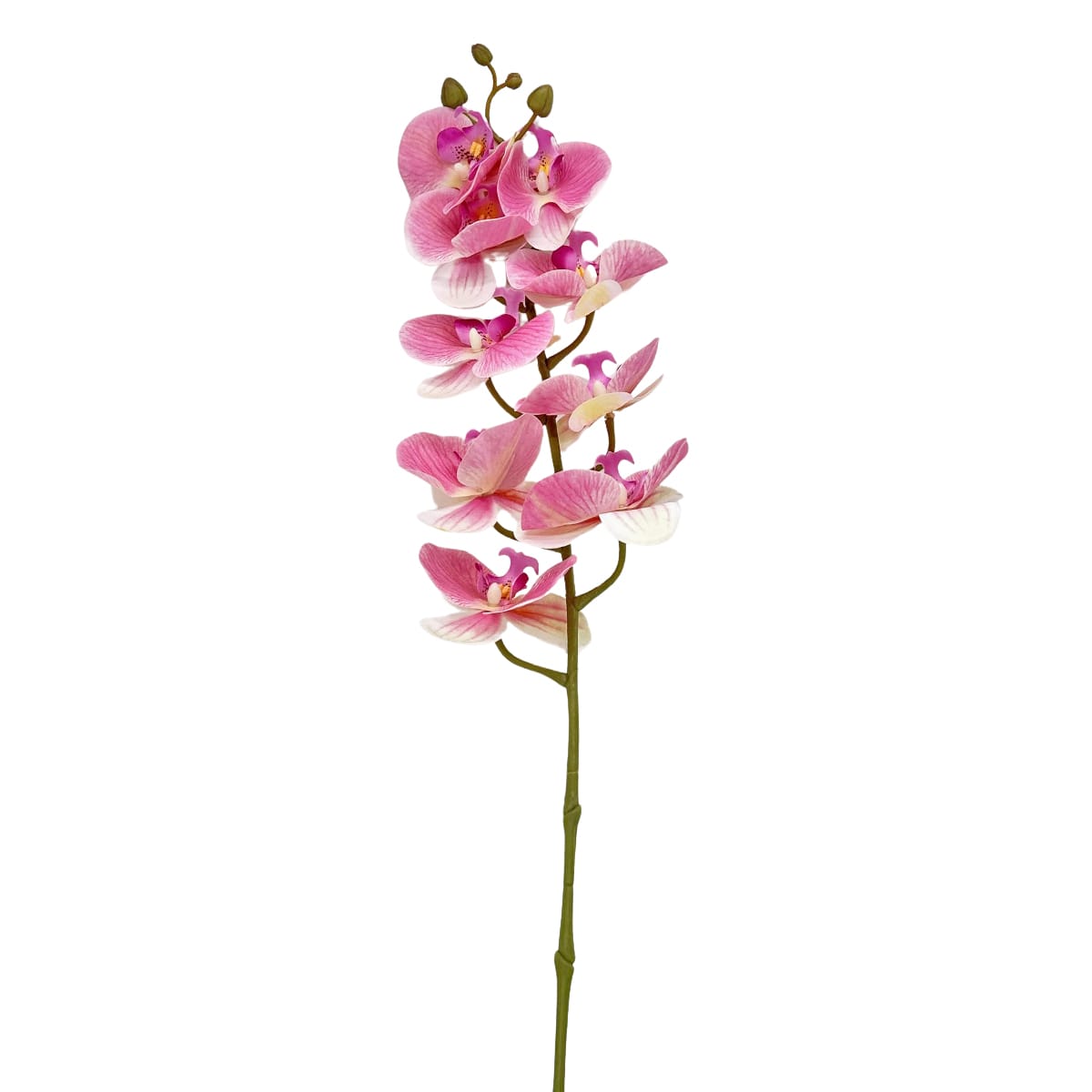 IMG_0844 GNW Pink Artificial Orchids Real Touch YW-12 - Image 1
