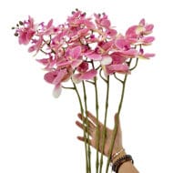 GNW Pink Artificial Orchids Real Touch YW-12 - Image 3