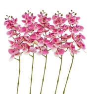 GNW Pink Artificial Orchids Real Touch YW-12 - Image 2