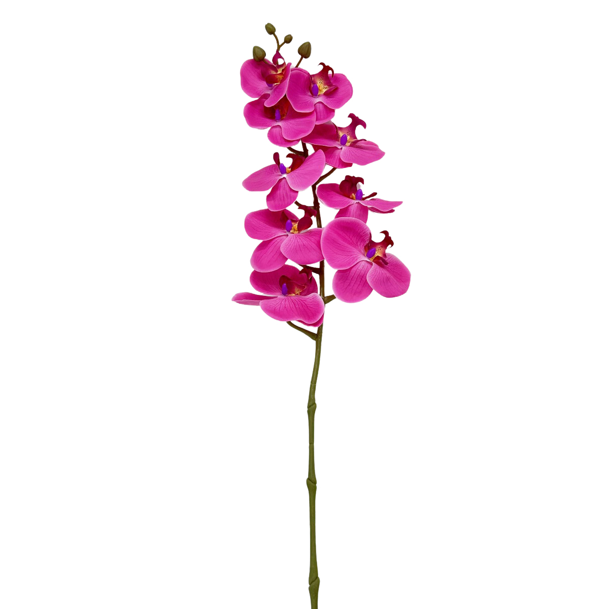 IMG_0849 GNW Fuchsia Artificial Orchids Real Touch YW-27 - Image 1