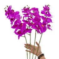 GNW Fuchsia Artificial Orchids Real Touch  YW-15 - Image 3