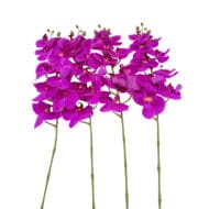 GNW Fuchsia Artificial Orchids Real Touch  YW-15 - Image 2