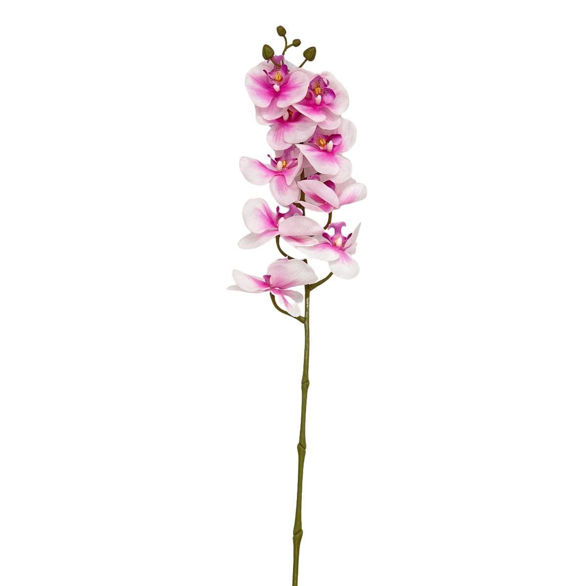 IMG_0869 GNW Core Pink Artificial Orchids Real Touch YW-17 - Image 1