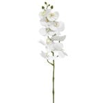 GNW White Artificial Orchids Real Touch YW-11