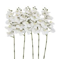 GNW White Artificial Orchids Real Touch YW-11 - Image 2