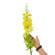 GNW Yellow Artificial Delphinium WX-124