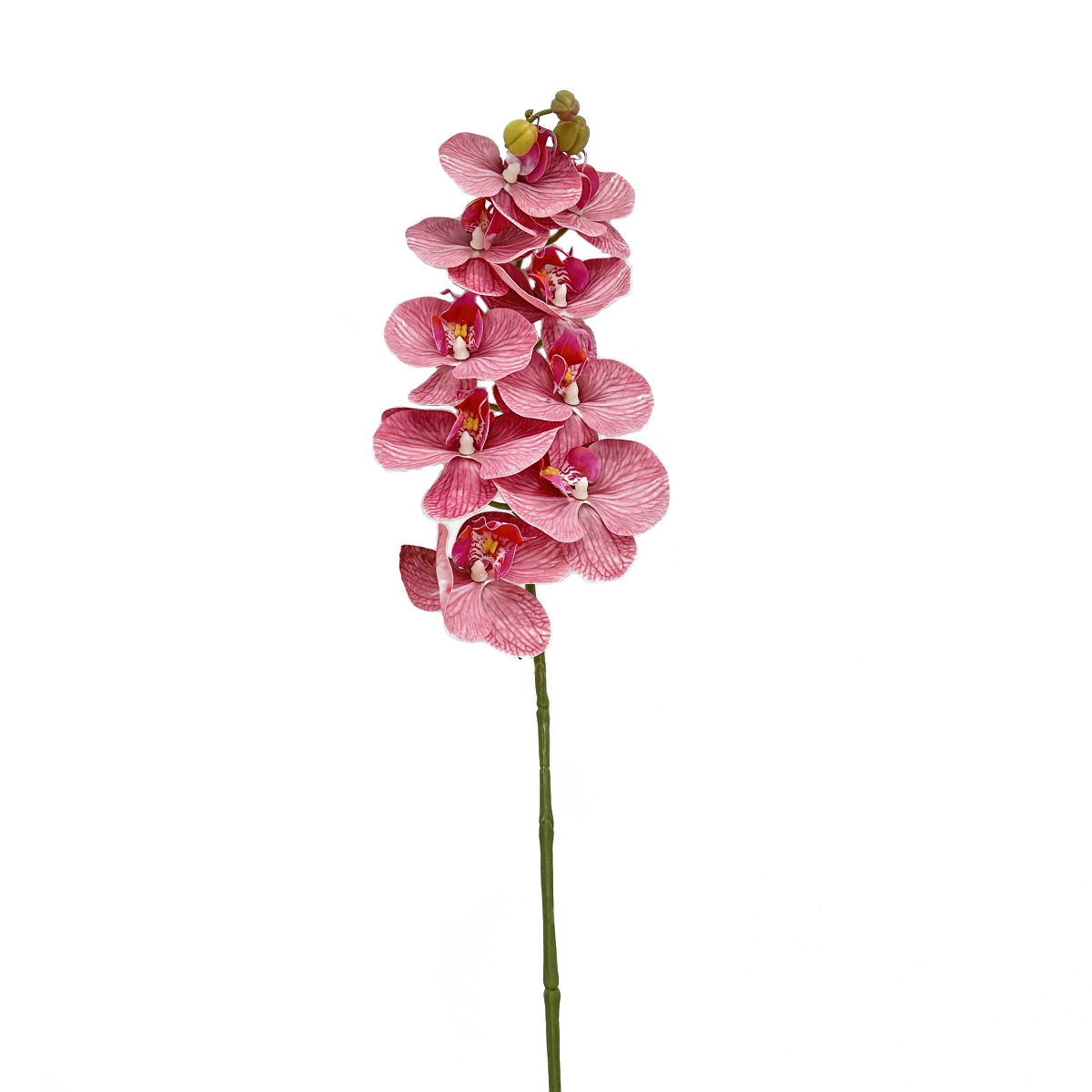 IMG_3156 GNW Pink Artificial Orchids Real Touch YW-31 - Image 1