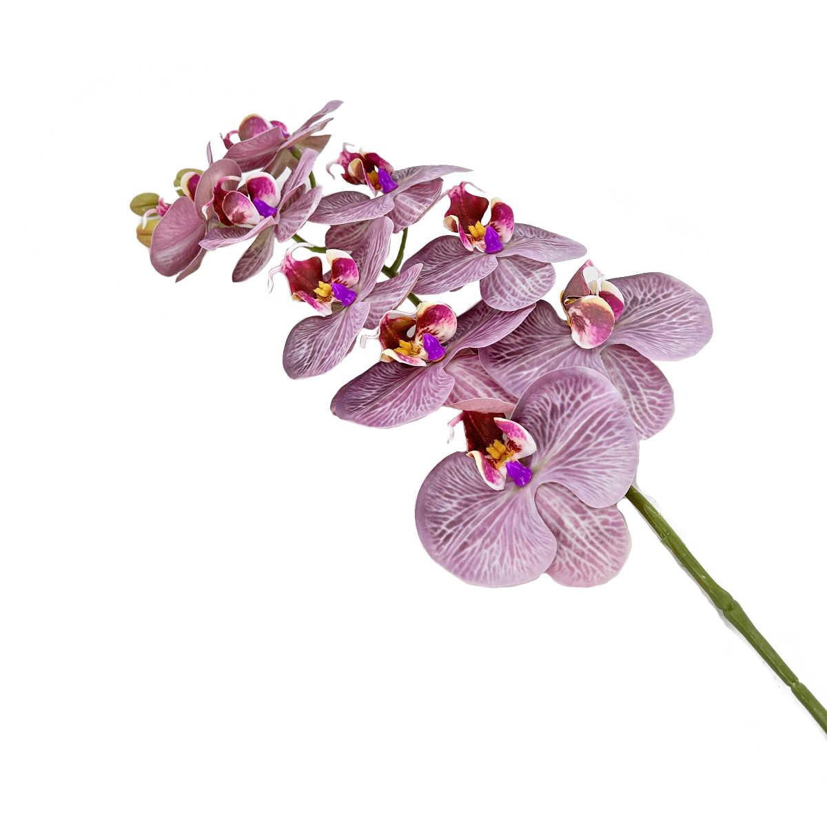 IMG_3753 GNW Grey Purple Artificial Orchids Real Touch YW-44 - Image 1