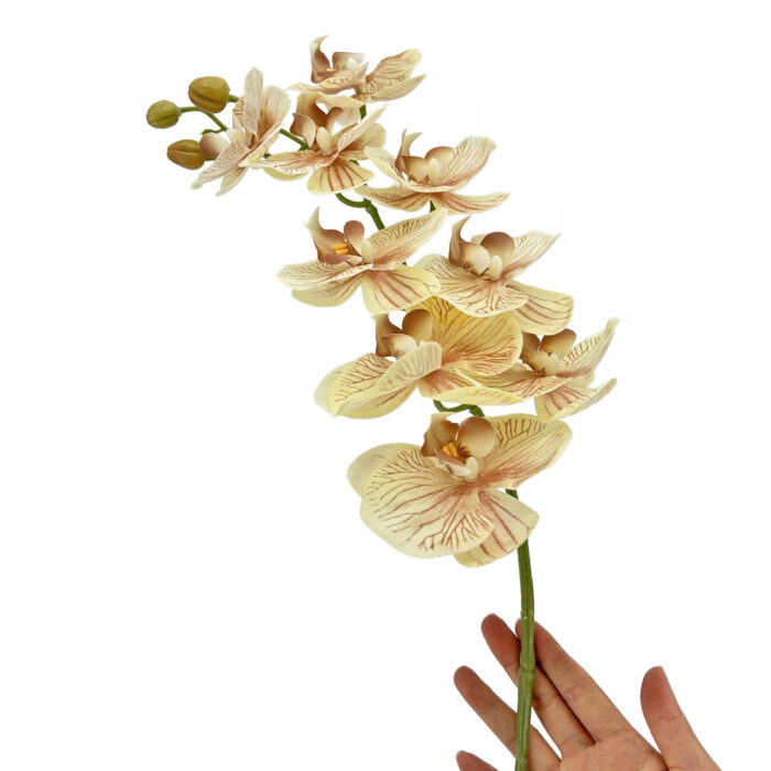 GNW Brown Artificial Orchids Real Touch YW-46 - Image 3