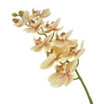 GNW Brown Artificial Orchids Real Touch YW-46