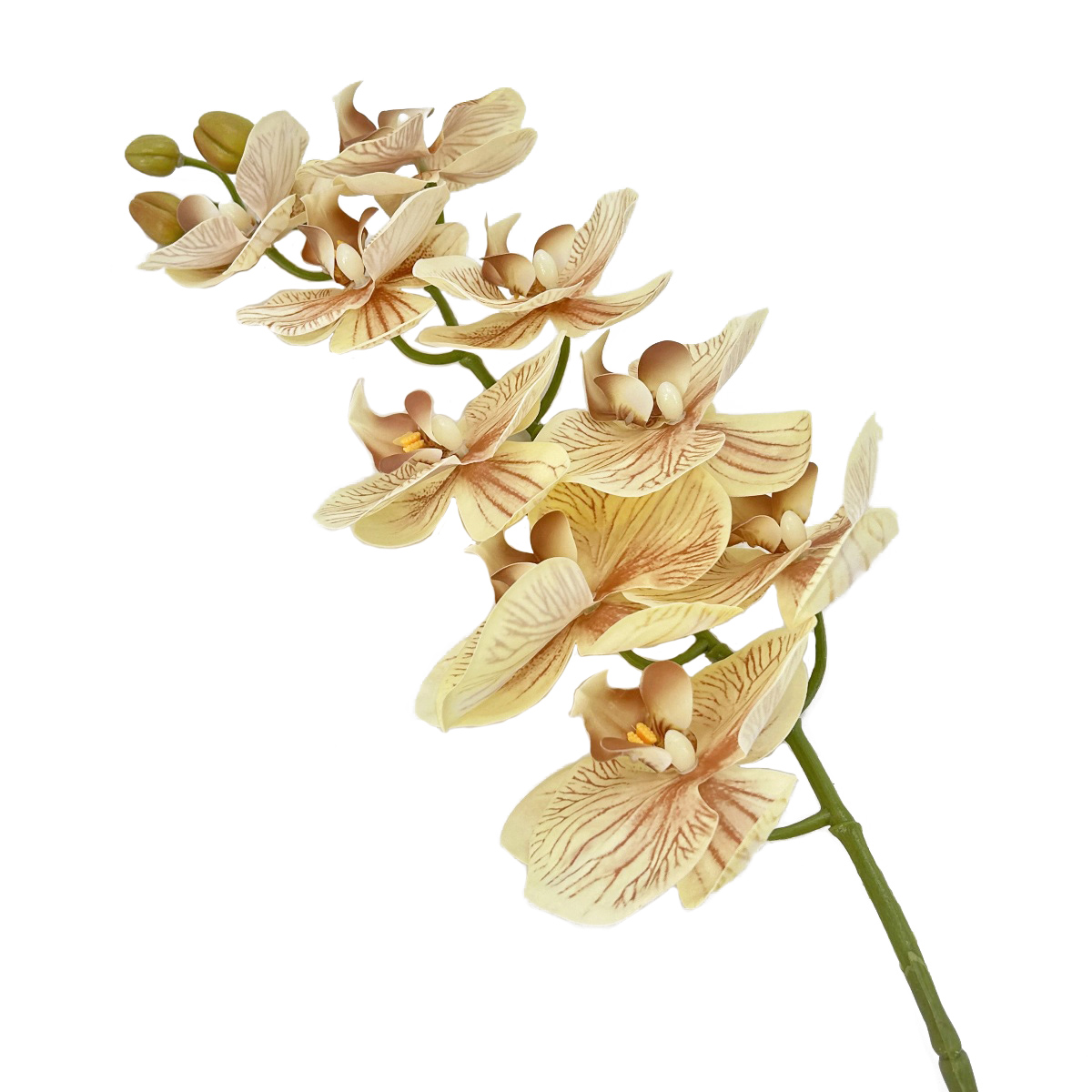 IMG_3765 GNW Brown Artificial Orchids Real Touch YW-46 - Image 1