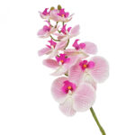 GNW Light Pink Artificial Orchids Real Touch  YW-38