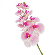 GNW Light Pink Artificial Orchids Real Touch  YW-38