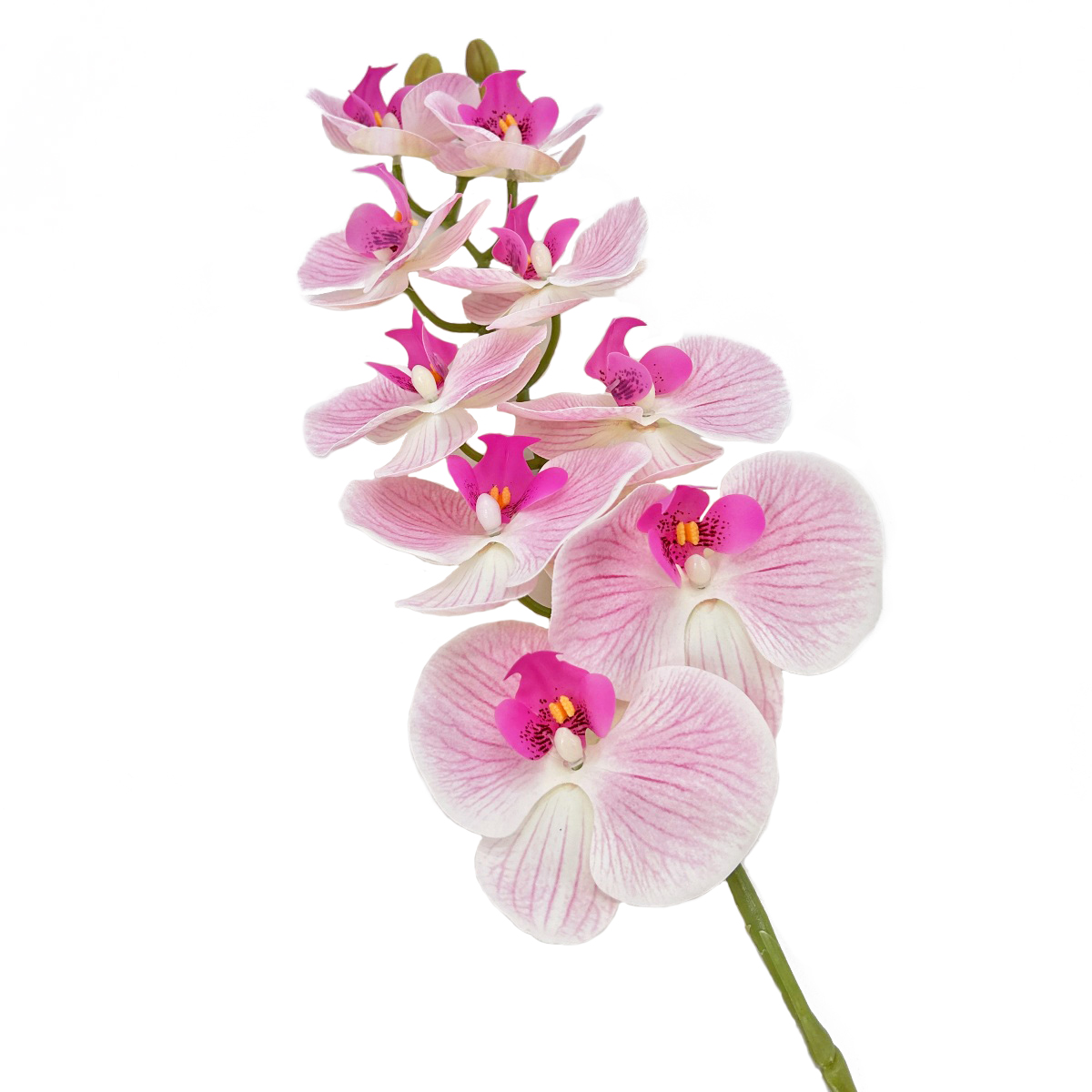 IMG_3773 GNW Light Pink Artificial Orchids Real Touch YW-38 - Image 1