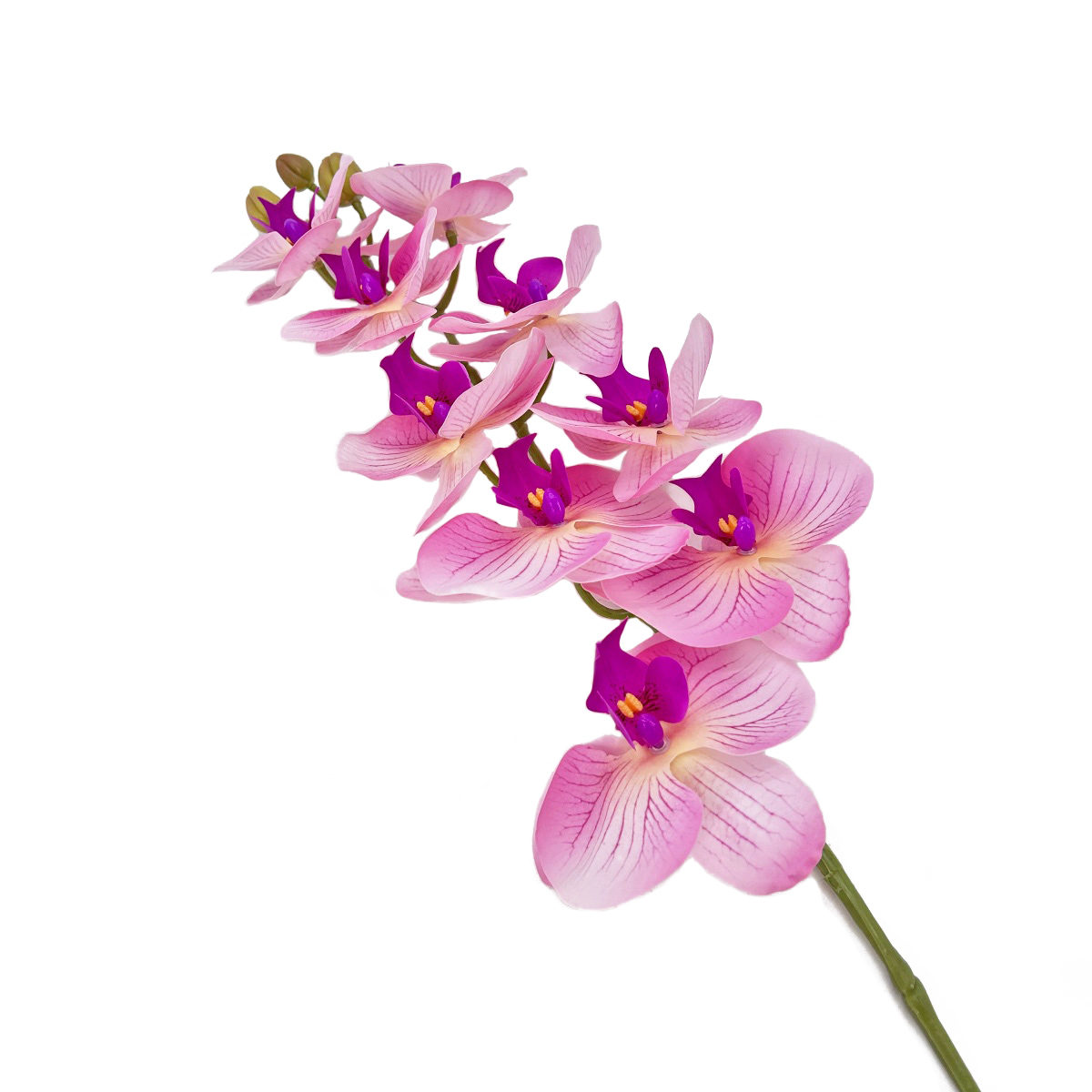 IMG_3777 GNW Rose Pink Artificial Orchids Real Touch YW-41 - Image 1