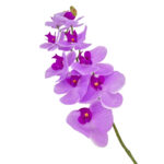 GNW Fuchsia Artificial Orchids Real Touch  YW-28