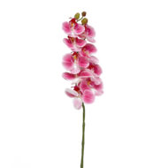 GNW Dark Pink Artificial Orchids Real Touch YW-39 - Image 3
