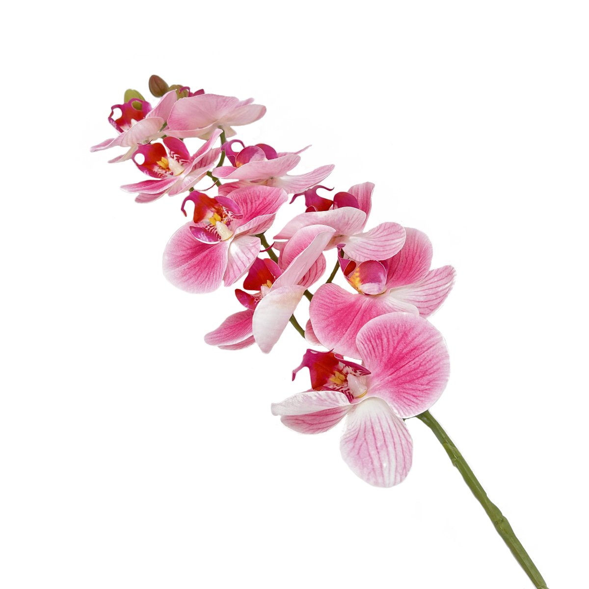 IMG_3785 GNW Dark Pink Artificial Orchids Real Touch YW-39 - Image 1