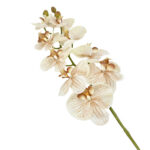 GNW Brown Artificial Orchids Real Touch YW-45