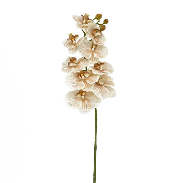 GNW Brown Artificial Orchids Real Touch YW-36 - Image 2