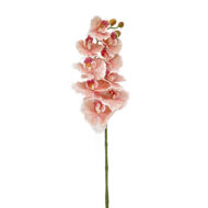 GNW Pink Artificial Orchids Real Touch YW-33 - Image 2