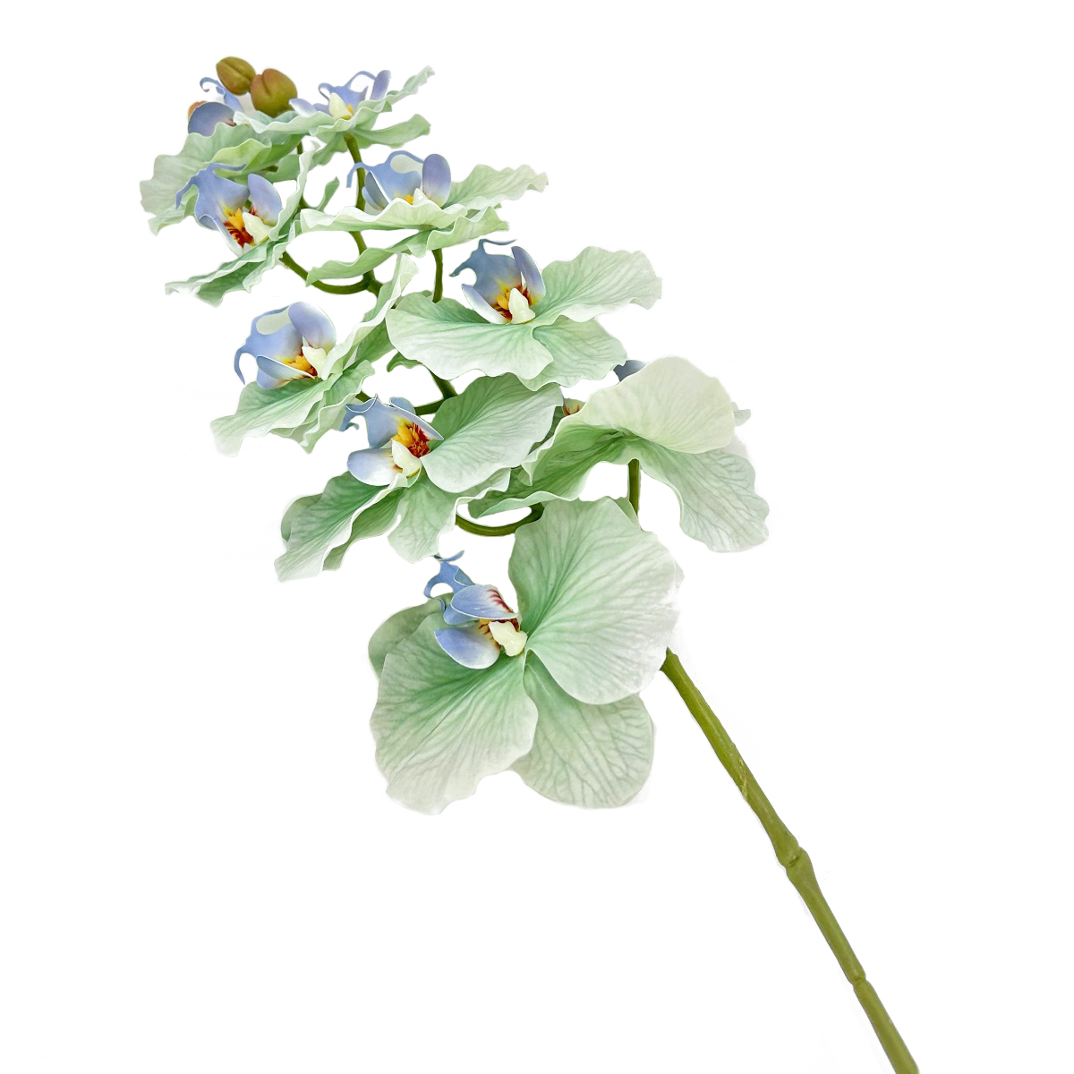 IMG_3813 GNW Green Artificial Orchids Real Touch YW-37 - Image 1