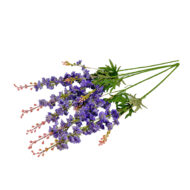 GNW Purple Artificial Delphinium JM-17 - Image 2