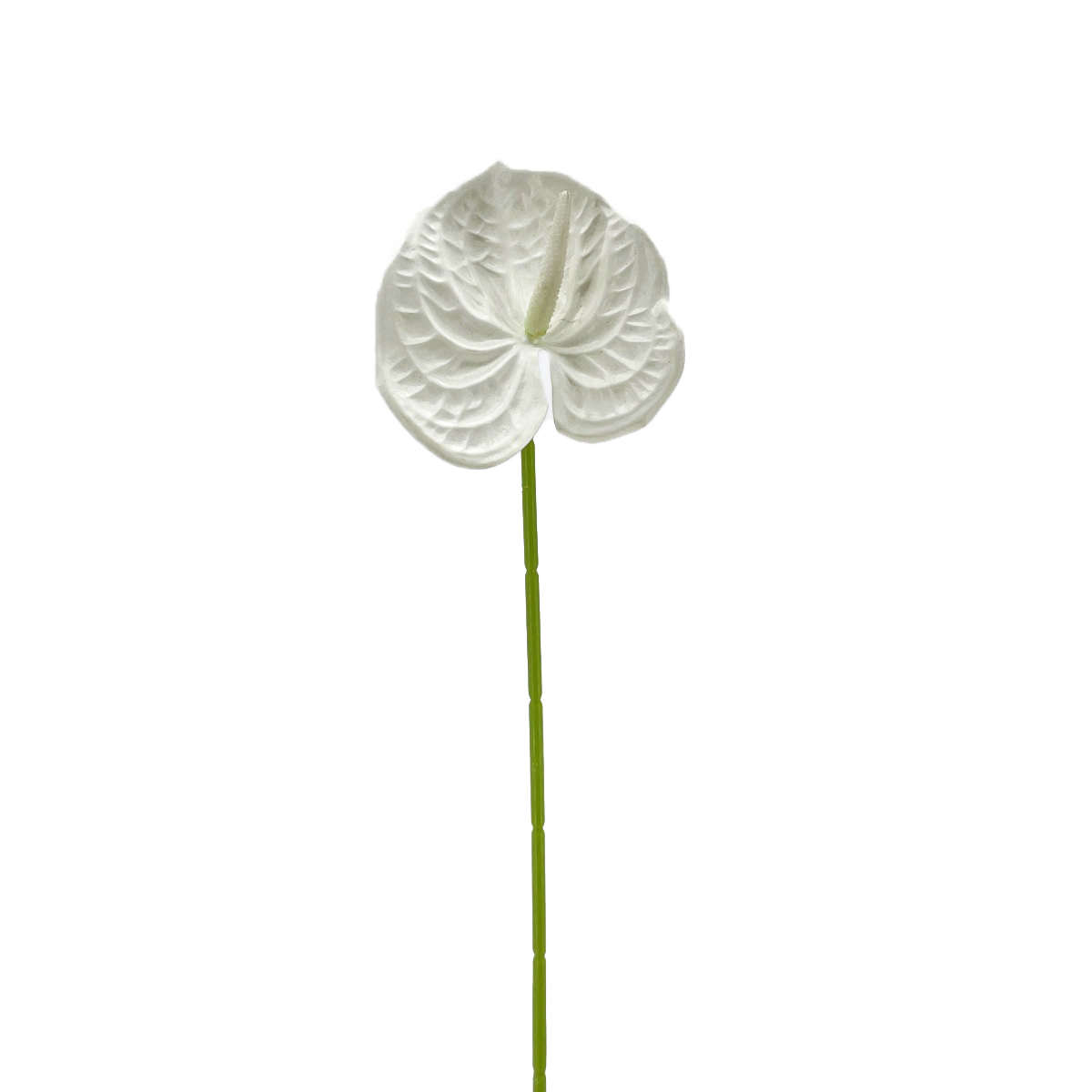IMG_5541 GNW White Artificial Anthurium HTT-29 - Image 1