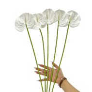 GNW White Artificial Anthurium HTT-29 - Image 3