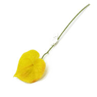 GNW Yellow Artificial Anthurium HTT-30 - Image 2