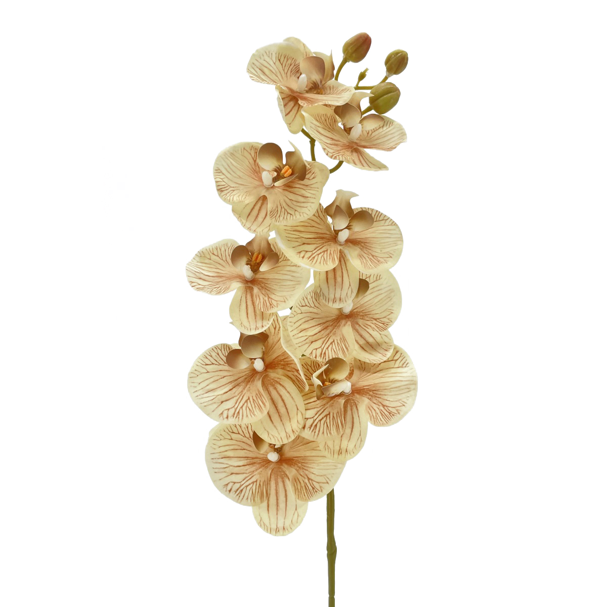 IMG_5560 GNW Brown Artificial Orchids AL-15 - Image 1