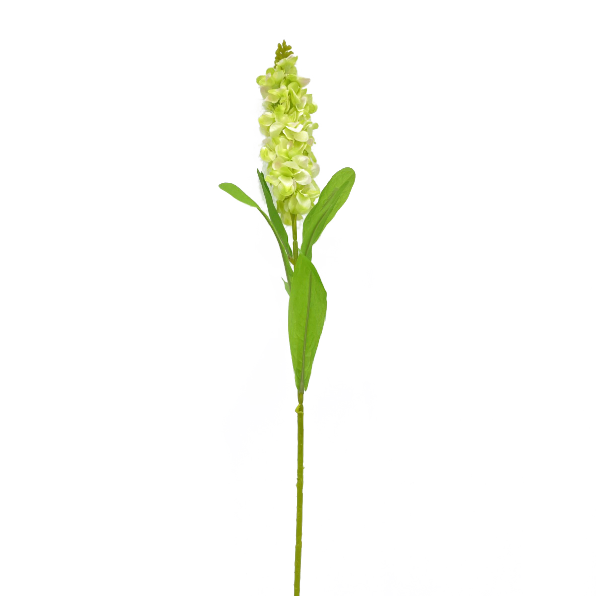 IMG_5763 GNW Green Artificial Delphinium MY-89 - Image 1