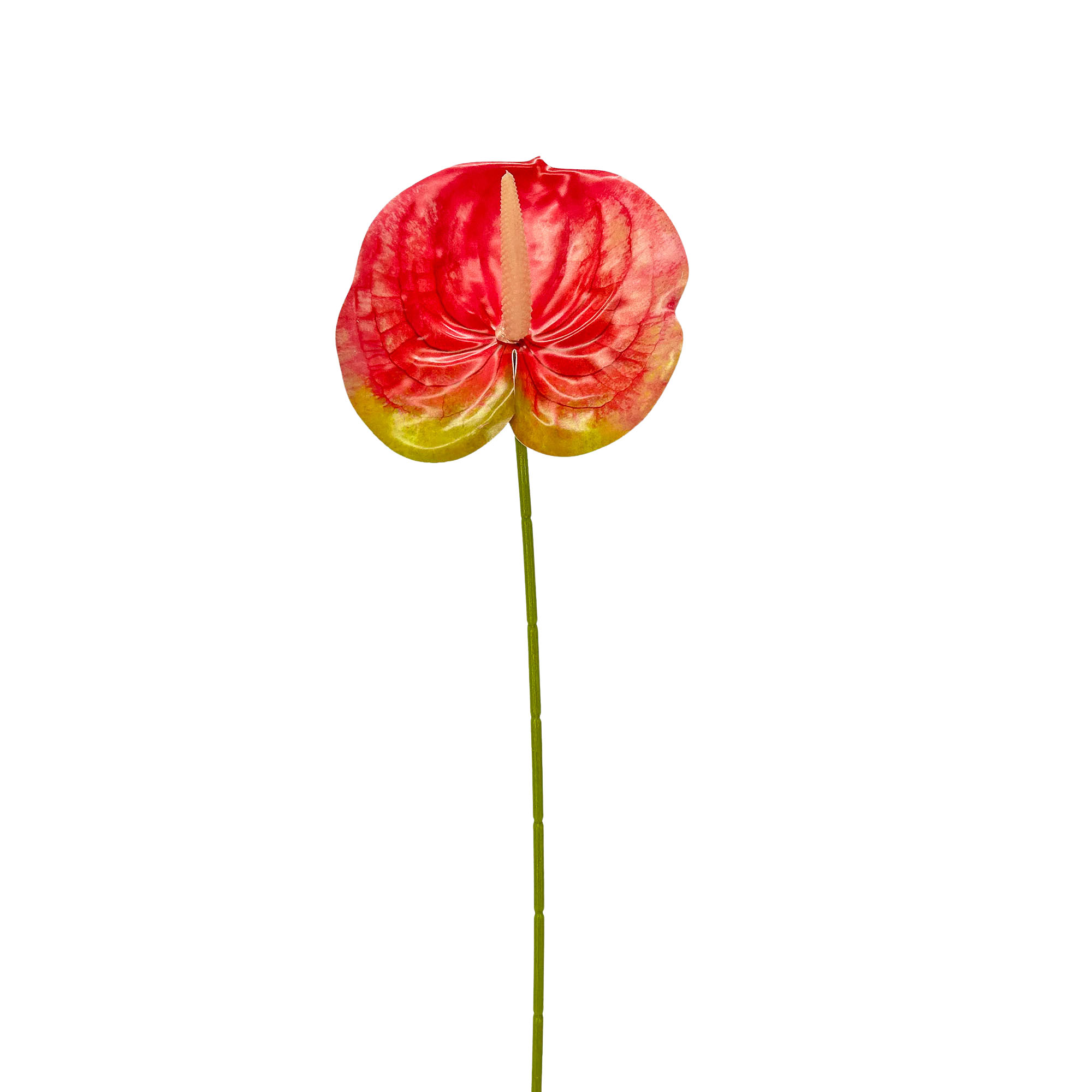 IMG_7072 GNW Dark Pink Artificial Anthurium LRR-302 - Image 1