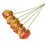 GNW Gradient Red Artificial Anthurium LRR-301 - Image 2