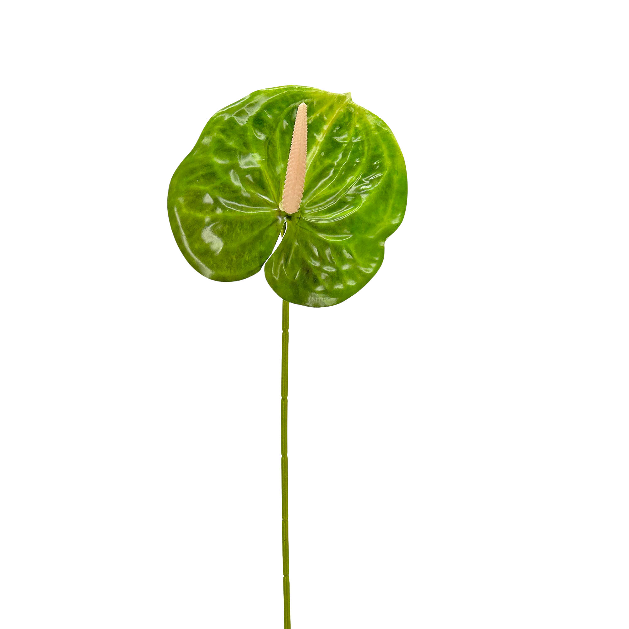 IMG_7096 GNW Green Artificial Anthurium LRR-297 - Image 1