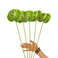 GNW Green Artificial Anthurium LRR-297 - Image 3
