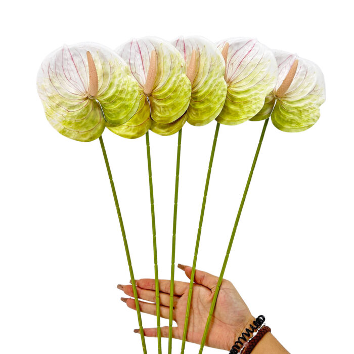 GNW Gradient Green Artificial Anthurium LRR-295 - Image 3