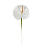 GNW White Artificial Anthurium LRR-294