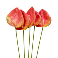 GNW Dark Pink Artificial Anthurium LRR-291 - Image 3