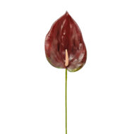 GNW Dark Red Artificial Anthurium LRR-289