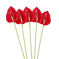GNW Red Artificial Anthurium LRR-288 - Image 2