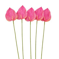 GNW Pink Artificial Anthurium LRR-292 - Image 2